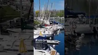 Natural Marinas in the Islands #toronto #marina #yachts #torontoislands #blue #beautifultoronto