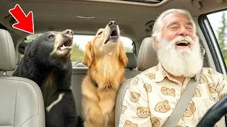 Bear Cub With a House Dog Voice Won&rsquo;t Stop Screaming With Joy