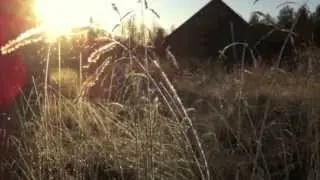 Allof&oacute;nus slideshow