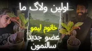 اولين ولاگ ما😎ولاگ خريد🥹 معرفى ميكنم جديدترين عضو خانوادمون😰🤯