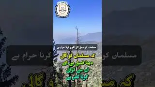 Hadees mubarak in || Urdu || Farman e Rasool ﷺ || most beautiful Hadith || Urdu