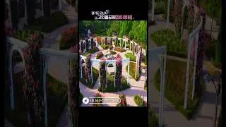Fantastic Rose Garden [Dolmen Park, Osan, South Korea]