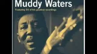 Muddy Waters - Trouble No More