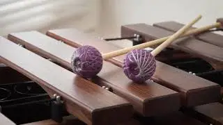 Marimba One Izzy