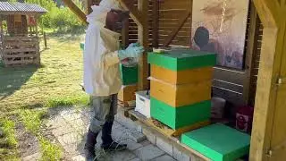 Bijvoeren bijen Abdij &Uuml;lingsheide 020822