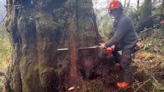 TLDW: Cutting an 8ft with a 36&rdquo; bar