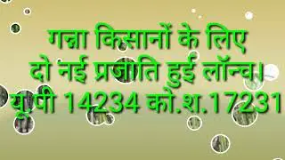 u.p 14234 or 17231 ganna parjati ki jankari