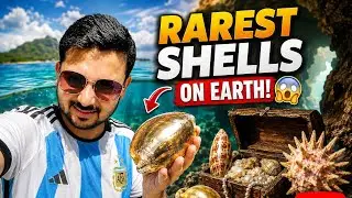 Largest Sea Shell Museum (Part 2) | Top places to see in Chennai | Mahabalipuram