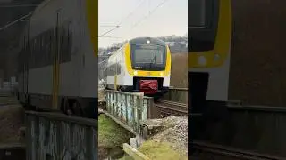 DB 440 017 Alstom Coradia Continental als RB 63 nach Herrenberg auf der Ammertalbahn #br440 #bwegt