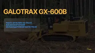 🔥 ВСТРЕЧАЙТЕ: Galotrax GX-600B от ГСТ-ТУЛЗ уже в деле! 🚜💥