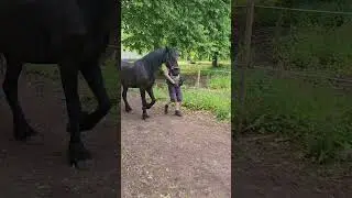 Snedhet i backning 2