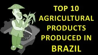 Top 10 Agricultural Products Produced in Brazil | Largest Agricultural Producer | Brazil Agriculture