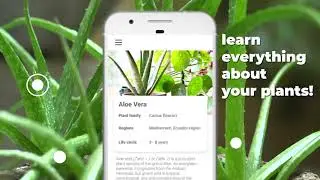 Plant Identification, Mushroom Identifier, Leaf Map
