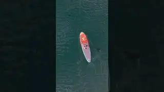 VOLTSURF - Quick and Easy Paddleboard Day
