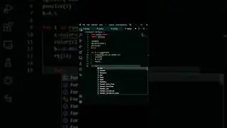 Python turtle Animation  