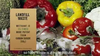 Food Fighter - Environmental Impact