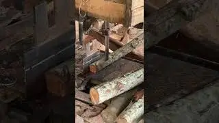 The Craft of Precision Wood Products Expert Sawmill Operators