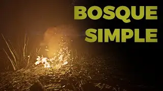 Haciendo un JUEGO DE TERROR en UNREAL ENGINE Parte 1 | Dise&ntilde;o de BOSQUE SIMPLE