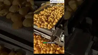 Bullet Panipuri Fryer Machine | PaniPuri Fryer Machine | Commercial fryer Machine