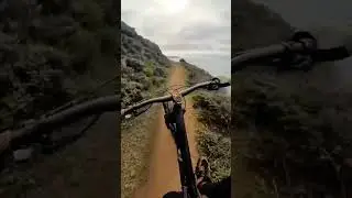 Mountain biking the NorCal coast #mtb #enduromtb #california #norcal #dhmtb #trekbikes