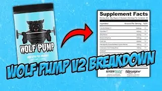 Wolf Pump V2 Breakdown