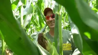 Yellow Gold - Kevin Kalb in the field - Talking Management
