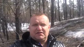 Александр Тараненко Восстановление баланса сил и э-иИ