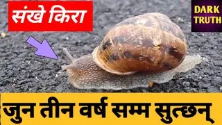 10 facts that's blow your mind|| nepali facts ||dark truth