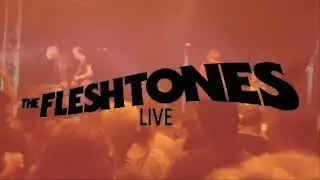 The Fleshtones - Live 2025 - Take a good look