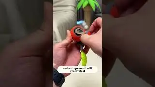 🐾 Умный мяч-игрушка для кошек Speedy Tail 2.0 &ndash; идеальное дополнение к вашим играм! 🎾🐱 #кошка #пи...