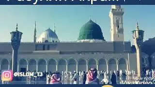 Гамхори умат Расулуллох