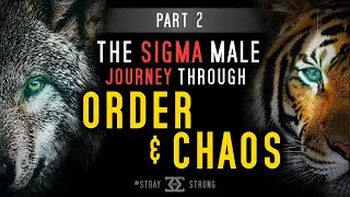 Sigma Male Journey Through Order & Chaos | Yin & Yang | Seeking Inner Balance & Sigma Sovereignty🐅