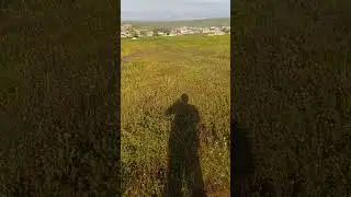 Muş Malazgirt Bostankaya köyü