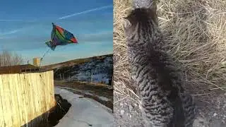 500 Subscriber Special! - The Best of My Worst Videos of 2022