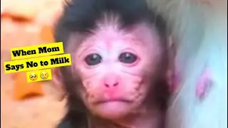 When Mom Says No to Milk 🥺😢