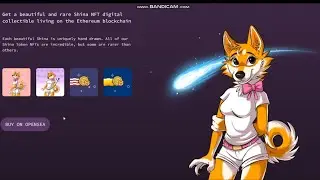 #SHINA INU URGENT AS WE ARE ON VERGE OF 100%+ PUMP+HOW TO BUY SHINA ON UNISWAP