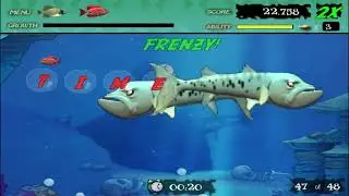 FEEDING FRENZY PART 6 'LAUTAN YANG GANAS' (GAME HOUSE)