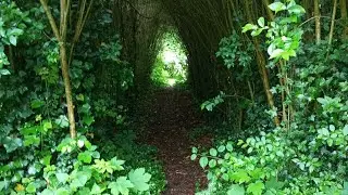 Wild Hunt (about the legend of Herne the hunter).
