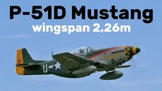 P-51D Mustang | 2,26m scale RC airplane | 4K | Hole&scaron;ov 2025