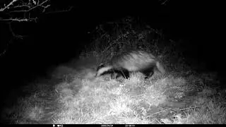 My Springwatch 2020 Episode 2