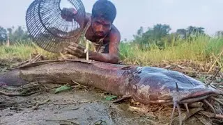 Fishing Video 2022 Best Polo Fishing 🐠 Hunting Big Catfish Unique Fish Trapping Technique E02