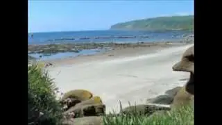 Cottages in Arran ~ Self Catering Cottages in Arran to Rent