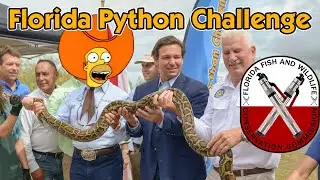 Florida Python Challenge Announced by Governor DeSantis and FWC Chairman Barreto