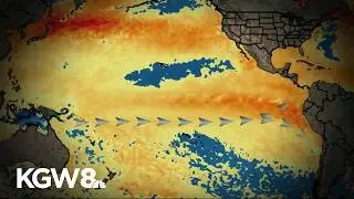 PNW forecast: 90% chance of very strong El Niño by October
