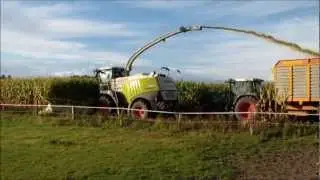 Claas Jaguar 980 Orbis 900
