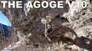 The Agoge V10 White Buddha - Berta Beta