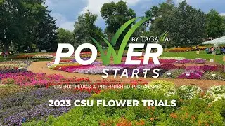 2023 Colorado State University Flower Trials