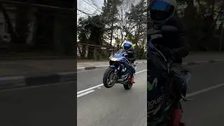 Honda CBR 954 RR 🔥 #honda #wheelie #299 #moto