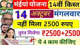 14 अक्टूबर | 2500 नहीं मिला तो ये 4 काम करें✅ maiya samman yojana ka paisa kab milega | maiya yojana
