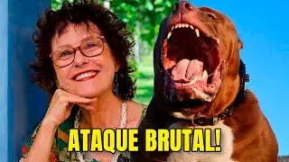PITBULL - Cachorro Criminoso???